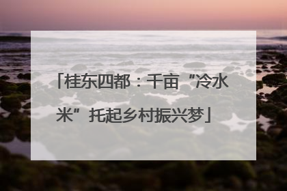 桂东四都：千亩“冷水米”托起乡村振兴梦