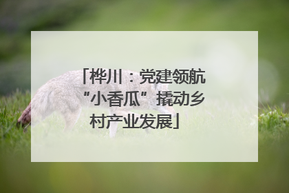 桦川：党建领航“小香瓜”撬动乡村产业发展