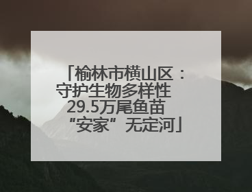 榆林市横山区：守护生物多样性 29.5万尾鱼苗“安家”无定河