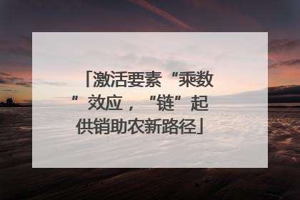 激活要素“乘数”效应，“链”起供销助农新路径