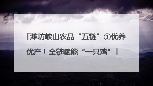 潍坊峡山农品“五链”③优养优产！全链赋能“一只鸡”