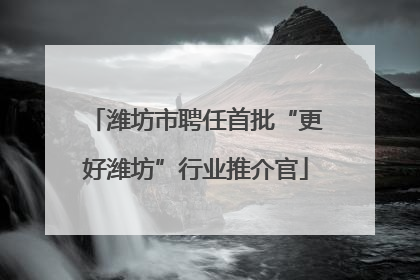 潍坊市聘任首批“更好潍坊”行业推介官