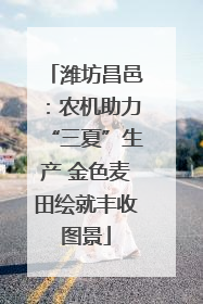 潍坊昌邑：农机助力“三夏”生产 金色麦田绘就丰收图景