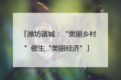 潍坊诸城：“美丽乡村”催生“美丽经济”