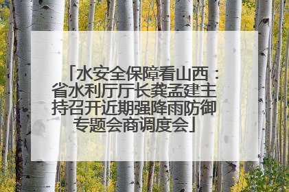 水安全保障看山西：省水利厅厅长龚孟建主持召开近期强降雨防御专题会商调度会