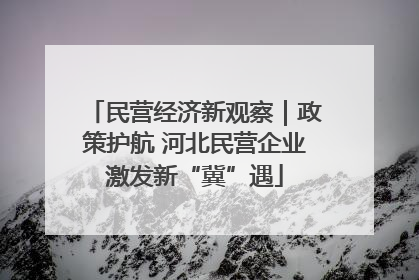 民营经济新观察｜政策护航 河北民营企业激发新“冀”遇