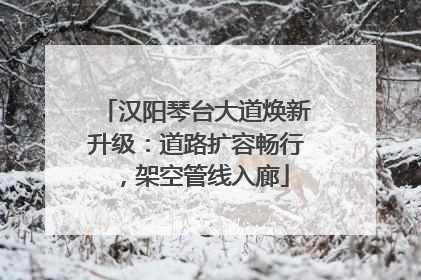 汉阳琴台大道焕新升级：道路扩容畅行，架空管线入廊