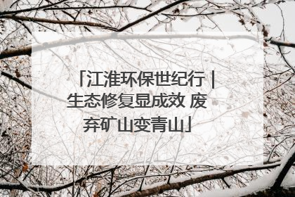 江淮环保世纪行｜生态修复显成效 废弃矿山变青山