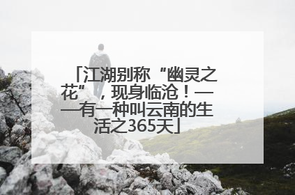 江湖别称“幽灵之花”，现身临沧！——有一种叫云南的生活之365天