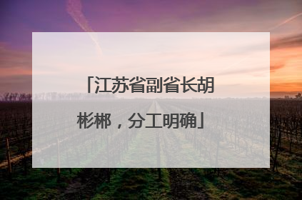 江苏省副省长胡彬郴，分工明确