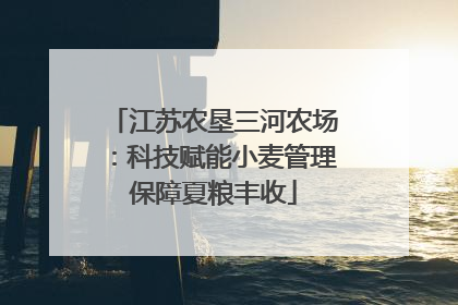 江苏农垦三河农场：科技赋能小麦管理保障夏粮丰收