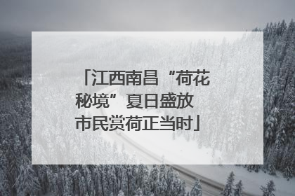 江西南昌“荷花秘境”夏日盛放 市民赏荷正当时