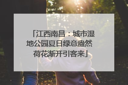 江西南昌：城市湿地公园夏日绿意盎然 荷花渐开引客来