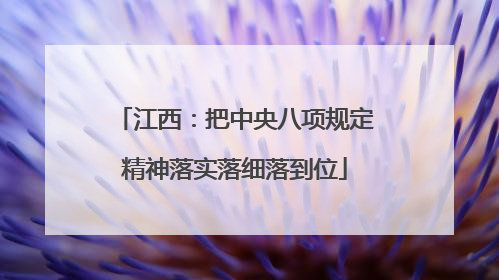 江西：把中央八项规定精神落实落细落到位