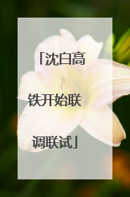 沈白高铁开始联调联试