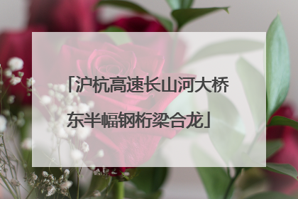 沪杭高速长山河大桥东半幅钢桁梁合龙