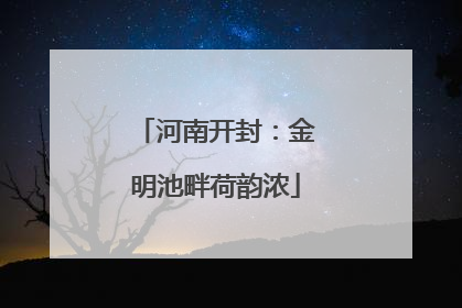 河南开封：金明池畔荷韵浓