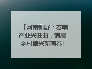 河南新野：奏响产业兴旺曲，铺展乡村振兴新画卷