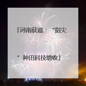 河南获嘉：“指尖”种田科技增收
