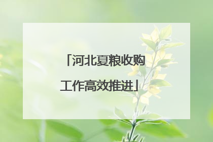 河北夏粮收购工作高效推进