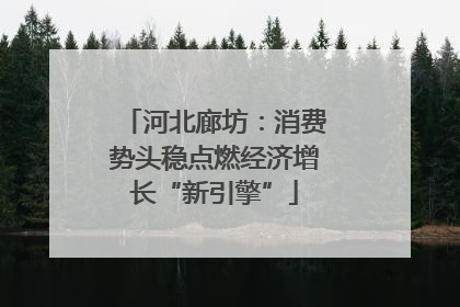 河北廊坊：消费势头稳点燃经济增长“新引擎”