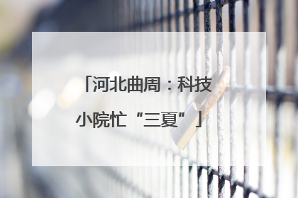 河北曲周：科技小院忙“三夏”