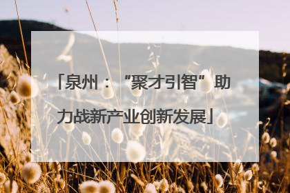 泉州：“聚才引智”助力战新产业创新发展