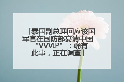 泰国副总理回应该国军官在国防部宴请中国“VVVIP”：确有此事，正在调查