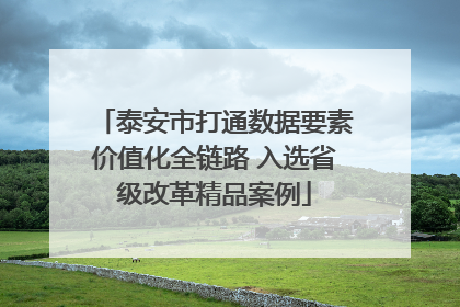 泰安市打通数据要素价值化全链路 入选省级改革精品案例