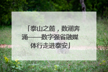 泰山之麓，数潮奔涌——数字强省融媒体行走进泰安