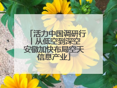 活力中国调研行丨从低空到深空 安徽加快布局空天信息产业