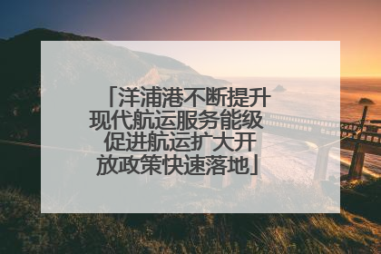 洋浦港不断提升现代航运服务能级 促进航运扩大开放政策快速落地