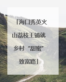 海口秀英火山荔枝王铺就乡村“甜蜜”致富路