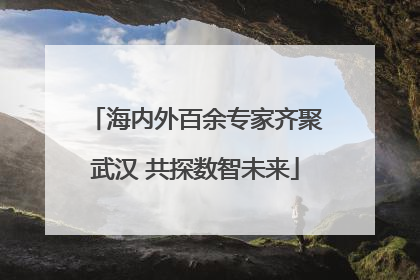 海内外百余专家齐聚武汉 共探数智未来