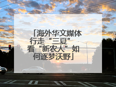海外华文媒体行走“三夏” 看“新农人”如何逐梦沃野