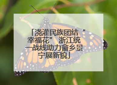 浇灌民族团结“幸福花” 浙江统一战线助力畲乡景宁展新貌