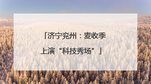 济宁兖州：麦收季上演“科技秀场”