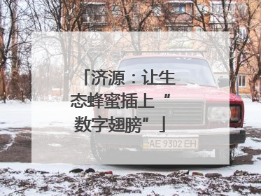 济源：让生态蜂蜜插上“数字翅膀”