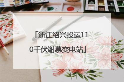 浙江绍兴投运110千伏谢慕变电站