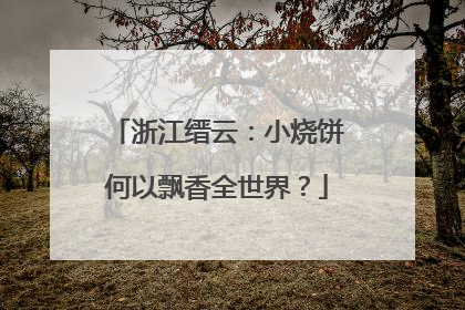浙江缙云：小烧饼何以飘香全世界？
