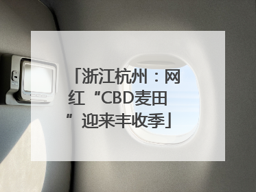 浙江杭州：网红“CBD麦田”迎来丰收季