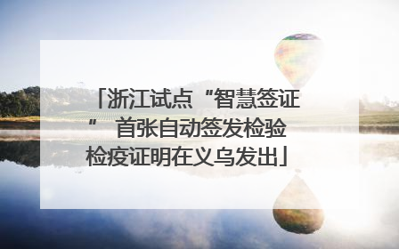 浙江试点“智慧签证” 首张自动签发检验检疫证明在义乌发出