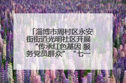 淄博市周村区永安街街道光明社区开展“传承红色基因 服务党员群众”“七一”系列主题活动