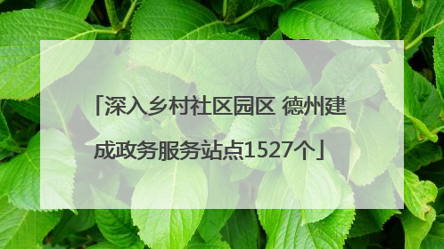 深入乡村社区园区 德州建成政务服务站点1527个