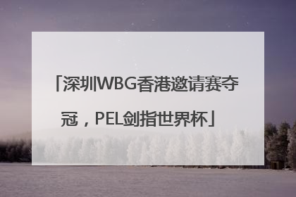 深圳WBG香港邀请赛夺冠，PEL剑指世界杯