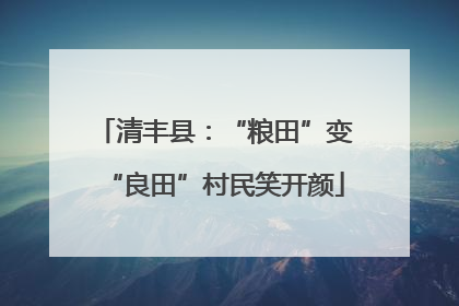 清丰县：“粮田”变“良田”村民笑开颜