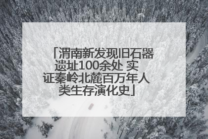 渭南新发现旧石器遗址100余处 实证秦岭北麓百万年人类生存演化史