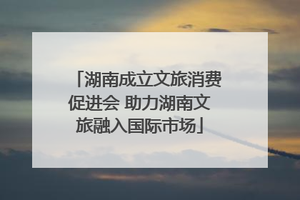 湖南成立文旅消费促进会 助力湖南文旅融入国际市场