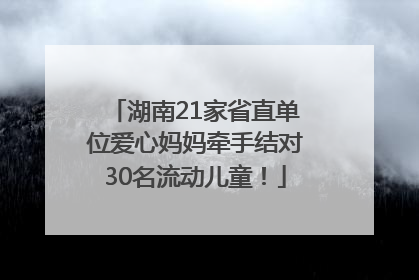 湖南21家省直单位爱心妈妈牵手结对30名流动儿童！