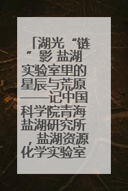 湖光“链”影 盐湖实验室里的星辰与荒原——记中国科学院青海盐湖研究所，盐湖资源化学实验室党总支书记、副主任刘忠